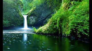 Beautiful Waterfall Deep In The Forest
