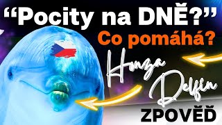 HONZA DELFÍN: 💥 Pocity na DNĚ - co pomáhá?💥[unikátní zpověď]