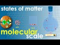 Exploring the States of Matter at the Molecular Level
