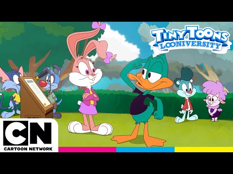 Tiny Toons: Looniversidad | La elección del curso | Cartoon Network