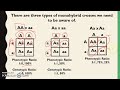 Genetic Crosses and Ratios