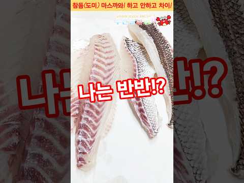 참돔회, 마스까와 해 말어?! 반은 불맛! 반은 담백!