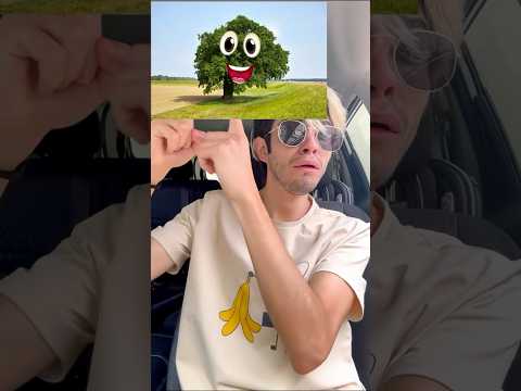 El árbol de mi ex novia.🌳 #humor #comedia
