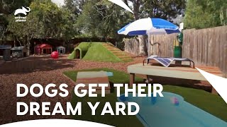 Backyard Chaos Turns Into Tail-Wagging Bliss | Animal Cribs S2 E1 | Animal Planet