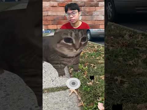 Filter UUIIAIIUUIIAAIII #shorts #meme