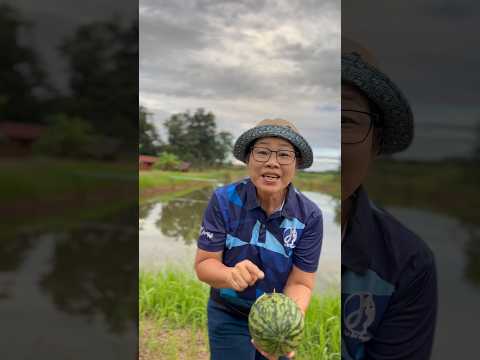 โอ้นี้คือบักแตงโม🍉#เจ้แดงใจแสวง#lifehacks#วันนี้ที่shorts#แตงโม