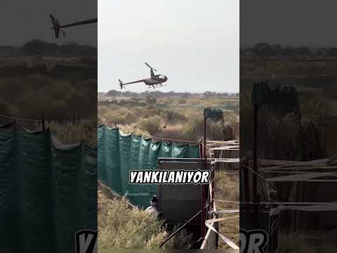Şaşırtıcı Taktik! Av Sanıyorlar Ama... 🐆❤️