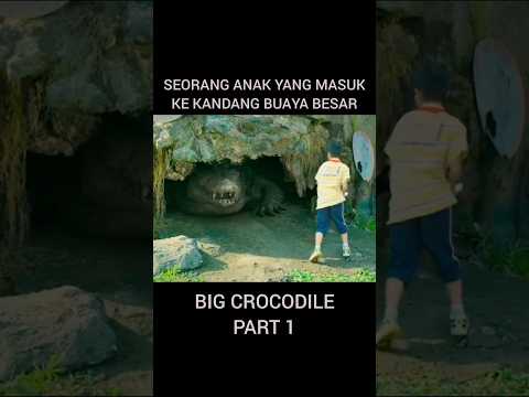 anak kecil masuk ke kandang buaya besar #crocodile #buaya