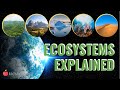 Ecosystem Services and Types