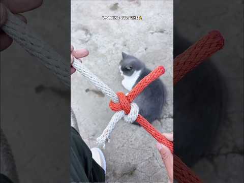 The Ultimate Jugaad Knot โ Fix Any Rope in Seconds!