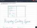 Respiratory and Circulatory Systems Overview