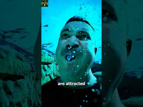 মৌমাছির আক্রমণ থেকে বাঁচার উপায় 😱 | Ways to avoid bee attacks 😮 #shortfeed #shorts