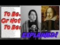 Exploring Themes in Renaissance Literature