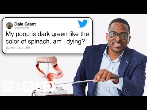 Doctor Answers Gut Questions From Twitter - Tech Support