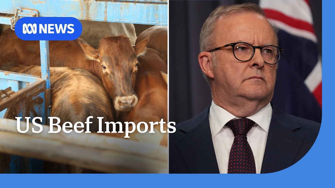 Albanese vows he won’t compromise biosecurity to secure US tariff exemption | ABC NEWS
