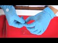 Cell Structure and Function Assessment