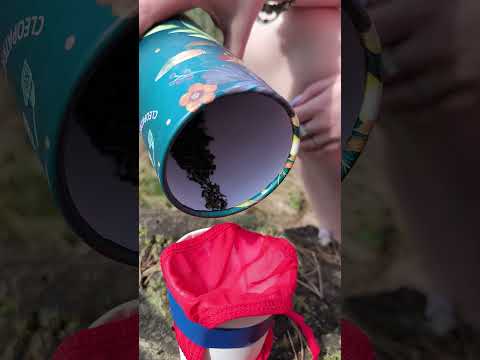 GIRL Made Tea Out of Underpants!!๐คฏ#camping #survival #bushcraft #outdoors #lifehack