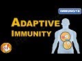 Understanding Adaptive Immunity Concepts