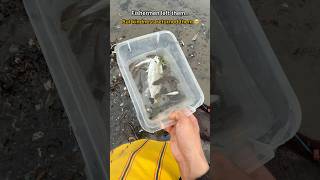 Fishermen left them… but kindness returned them 😭