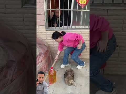 ‏لقد ربحت هي في النهاية