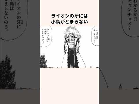 「力を手に入れた」キャンチョメとフォルゴレについての雑学#アニメ＃金色のガッシュベル