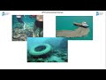 Coastal Ecosystems and Marine Life