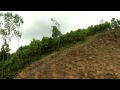 Forest Conservation and Management Assessment