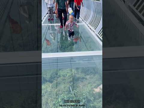 जब glass bridge में डर नहीं लगता 😨 #ytshorts