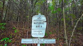 Oldest Wooded Plants East of The Rockies in Perry County Pa