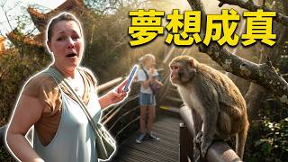 台灣壽山 (感動到流淚 😭）Monkey Mountain Taiwan brought her to tears.
