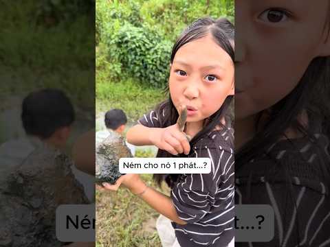 Cô gái ném đá khiến em trai đáng sợ