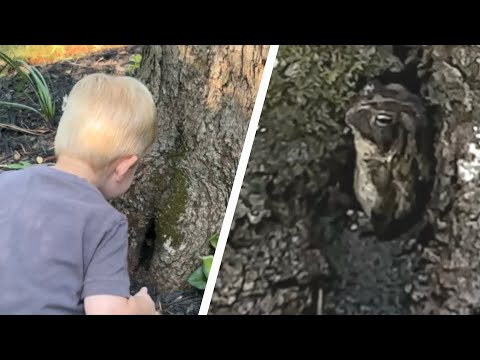 Little boy's friendship with backyard frog is the sweetest thing
