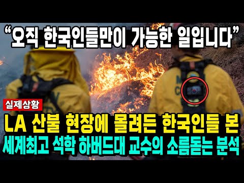 “오직 한국인들만이 가능한 일입니다” LA 산불 현장에 몰려든 한국인들 본 세계최고 석학 하버드대 교수의 소름돋는 분석