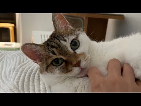 지캣 깜짝 라이브💛7.16
