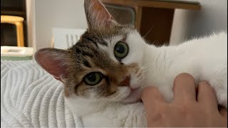지캣 깜짝 라이브💛7.16
