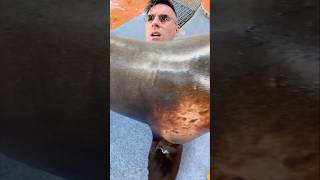 What in the bass is this?