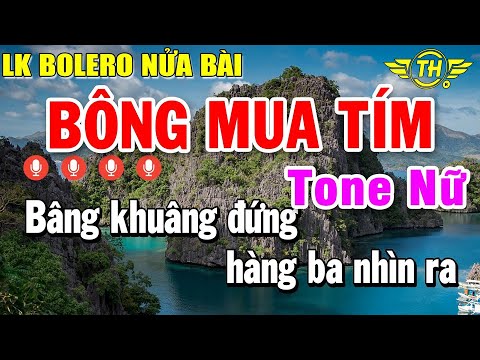 Karaoke Liên khúc Nhạc Sống Nửa Bài Tone Nữ | Karaoke Lk Bolero Nhạc Trữ Tình Bông Mua Tím