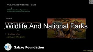 Wildlife And National Parks