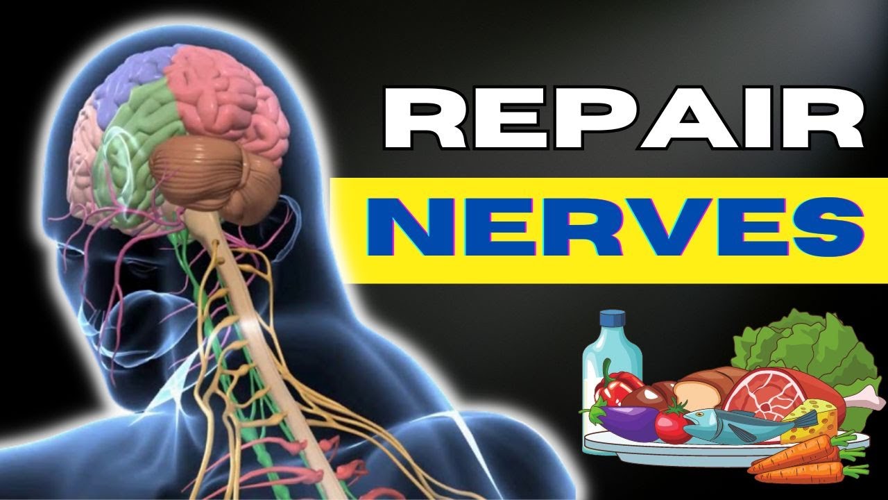 Top 14 Best Foods for Your Nervous System