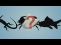 Evolutionary Concepts and Misconceptions