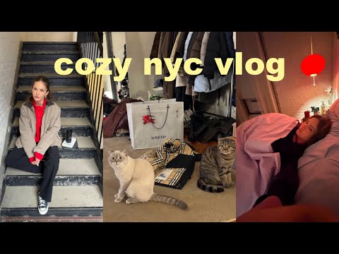 cozy nyc vlog