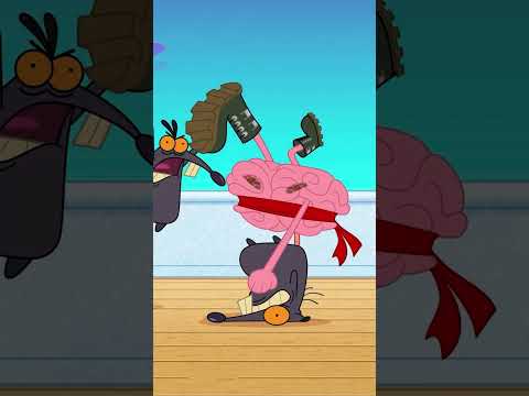 The brain takes over #Shorts #Zigandsharko Zig & Sharko | Cartoon for kids