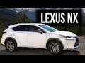 Lexus NX Sport+