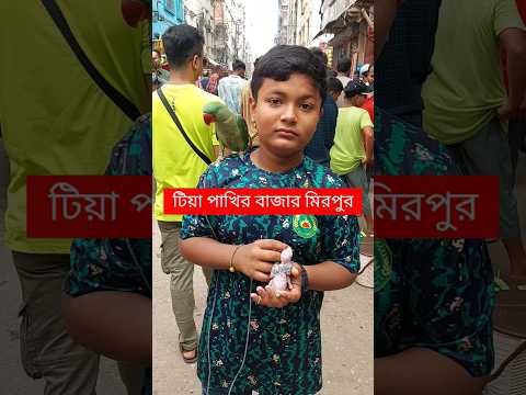 টিয়া পাখির বাজার | Tiya Pakhi | টিয়া পাখি | টিয়া পাখির বাচ্চা | টিয়া পাখির বাচ্চার দাম কত #shorts