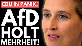 💥EILMELDUNG: AfD HOLT MEHRHEIT – MERZ IM VÖLLIGEN PANIKMODUS!💥