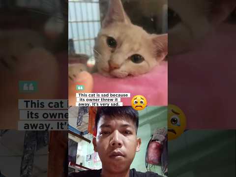 It hurts to throw away this kitten😿 #streetcats #catlovers #hungrycat #sadcat #bangendra