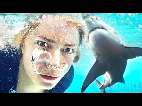 The Bait | Film complet en Français | Horreur