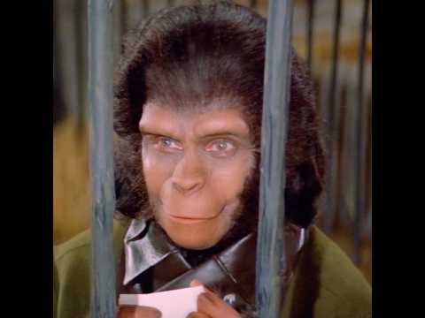 He successfully made Dr. Ape realize he was no ordinary man!#viralvideo #shortvideo #shorts