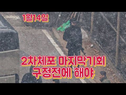 내일 체포시도? 구정전에 상황 끝내야/지지율/경호처 내부 분열