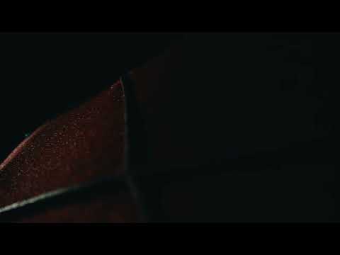 SPIDER-MAN: BRAND NEW DAY